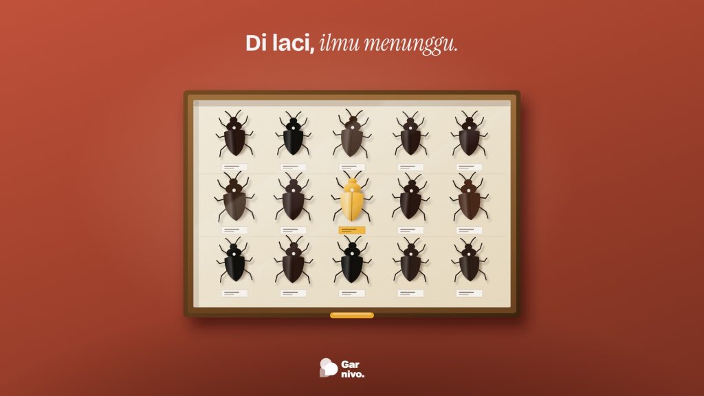 Laci spesimen kayu dilihat dari atas berisi lima belas kumbang tersemat berlabel, satu kumbang berwarna amber, berlatar terakota.